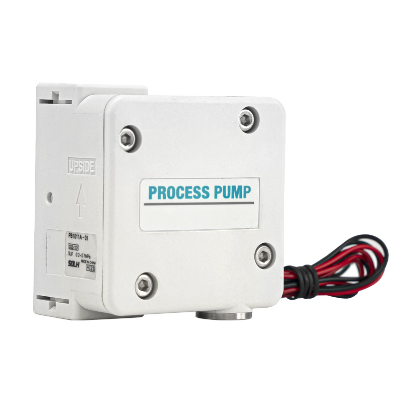 PB1011 Prozesspumpe