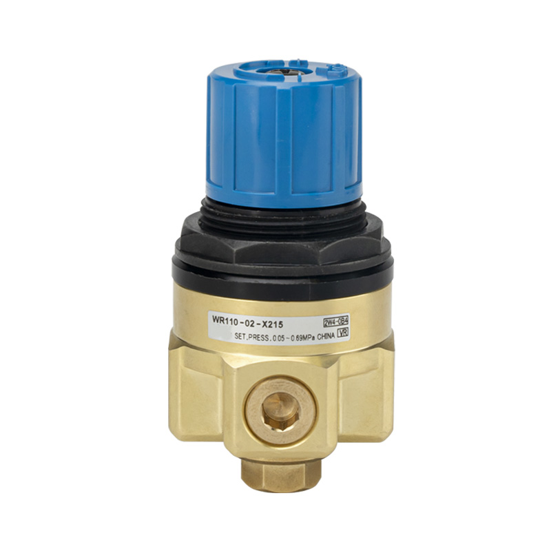 WR110 Wasserregler